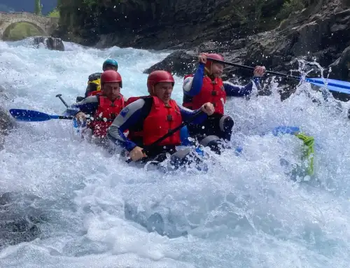 Pack 3 actividades